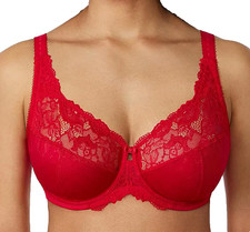 Delimira Wine Red Bra 36C