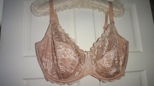 Delimira beige lace underwired - beige,