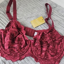 Delimira  Lace Stylish  Bra